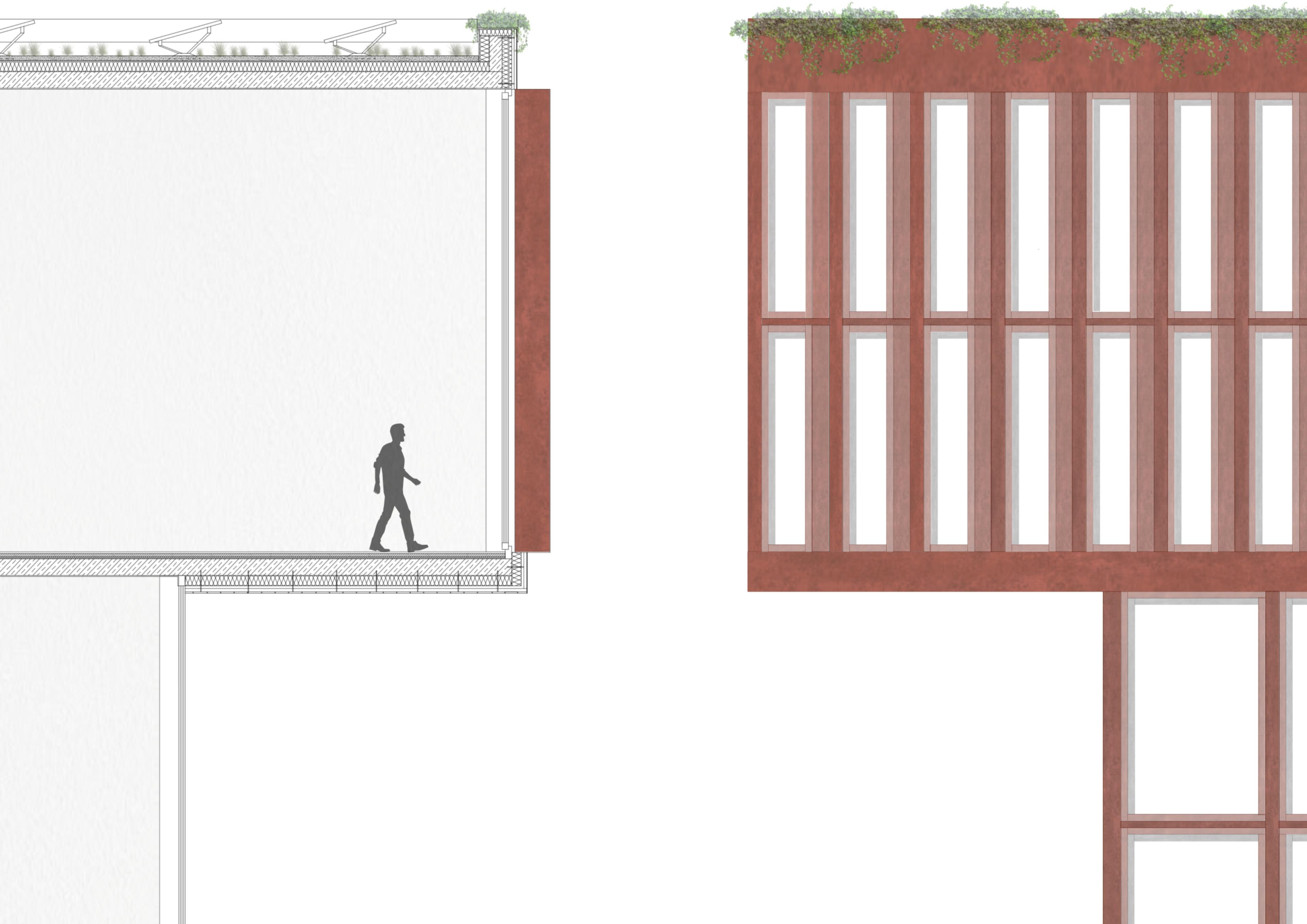Fassadenschnitt Bibliothek